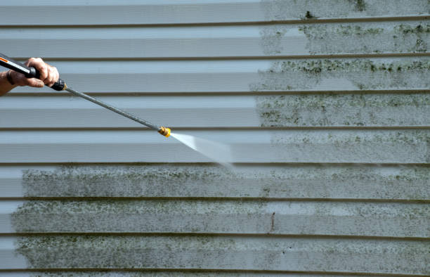 Best Gutter Cleaning  in Boulder Hl, IL